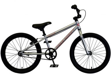 2022 Free Agent Champ bicycle in Bright Silver