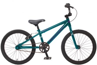 2022 Free Agent Champ bicycle in Teal