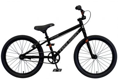 2025 Free Agent Champ bicycle in Black